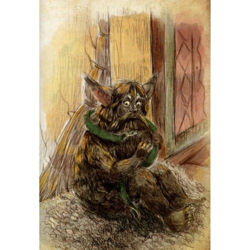 Книга Чарівні істоти українського міфу. Домашні духи - Дара Корній Vivat (9789669820129)