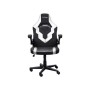Крісло ігрове Trust GXT703W Riye White (25130)