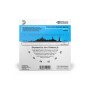Струни для гітари D'Addario 80/20 Bronze Regular Light (12-53) (EJ11)