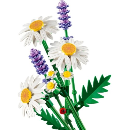Конструктор LEGO Botanicals Ромашки (11508)