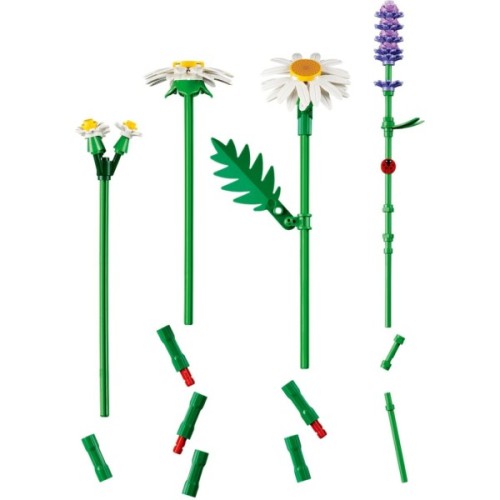 Конструктор LEGO Botanicals Ромашки (11508)