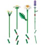 Конструктор LEGO Botanicals Ромашки (11508)