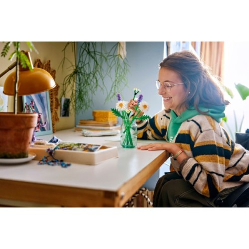 Конструктор LEGO Botanicals Ромашки (11508)