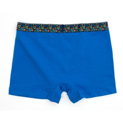 Труси дитячі Sevim набір (8316-164B-mix)