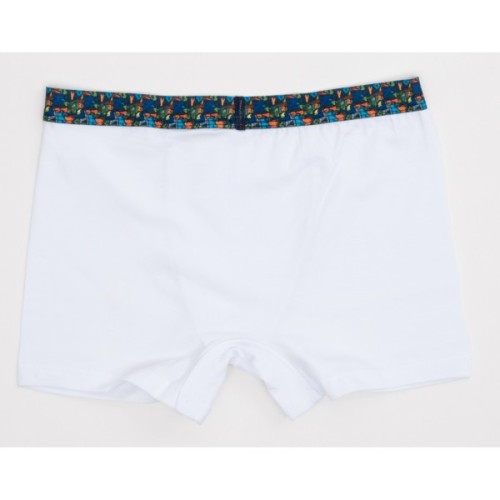 Труси дитячі Sevim набір (8316-164B-mix)