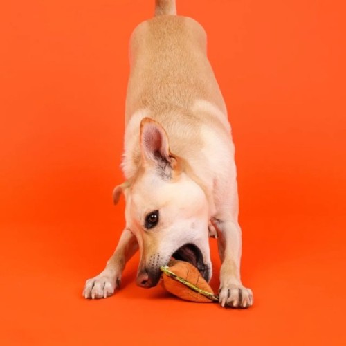 Іграшка для собак Outward Hound Xtreme Seamz Lion (0700603698849)