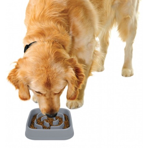 Посуд для собак Dexas Миска Slow Maze Feeder квадратна для повільного годування 960 мл світло-сіра (0084297309923)