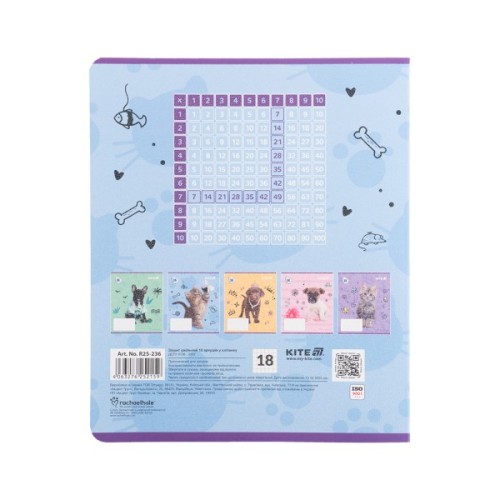 Зошит Kite Rachael Hale, 18 аркушів, клітинка (R25-236)