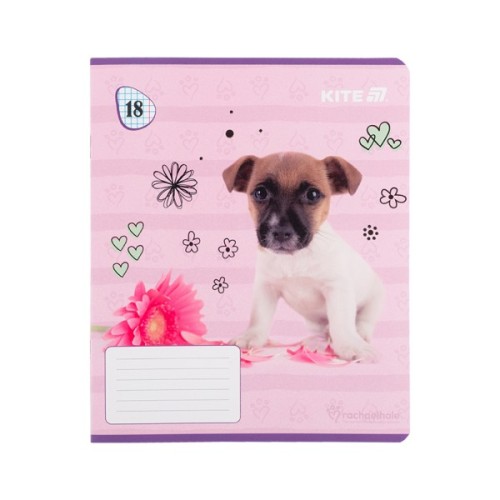 Зошит Kite Rachael Hale, 18 аркушів, клітинка (R25-236)