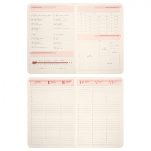 Тижневик Leo planner А5 датований 2026 "Voyage", м‘який, графітовий, 368 сторінок (252695)