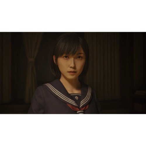 Гра Sony Silent Hill f, BD диск (4012927151617)