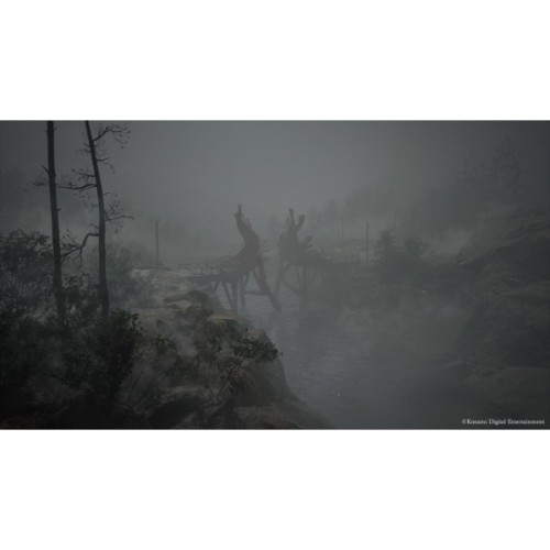 Гра Sony Silent Hill f, BD диск (4012927151617)