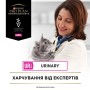 Вологий корм для кішок Purina Pro Plan Veterinary Diets UR ST/OX Urinary З лососем 10 x 85 г (8445290093851)