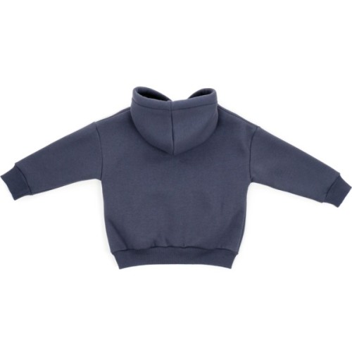 Кофта дитяча Cloise худи флісова (CL0115008-116-gray)