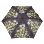 Парасоля Fulton National Gallery Tiny-2 L794 National Gallery Tiny-2 Bosschaert (L794-085297)