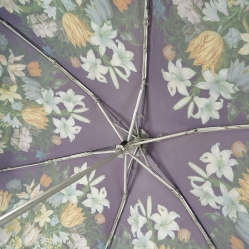 Парасоля Fulton National Gallery Tiny-2 L794 National Gallery Tiny-2 Bosschaert (L794-085297)