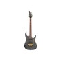 Електрогітара Ibanez RGR420FMSP-TGF (302362)