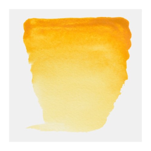 Акварельні фарби Royal Talens Van Gogh (238), Гумігут, кювета (8712079419035)