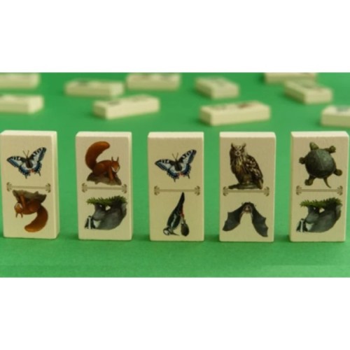 Настільна гра Capstone Games Renature (Розквіт), англійська (5060226932955)