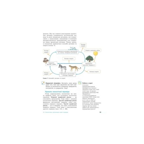 Підручник НУШ Біологія. 7 клас - О.В. Тагліна, А.М. Самойлов, О.М. Утєвська, Л.В. Довгаль Ранок (9786170987686)