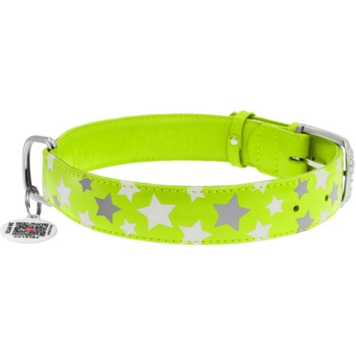 Нашийник для тварин WAUDOG Glamour з QR паспортом "Зірочка" XS Ш 12 мм Д 21-29 см салатовий (35845)