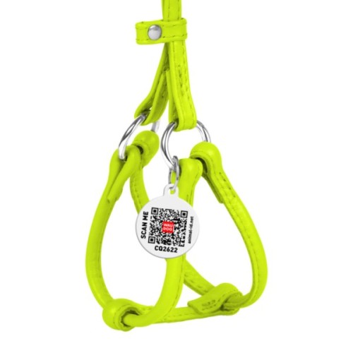 Шлея для собак WAUDOG Glamour з повідцем кругла Д 6 мм А 42-60 см В 46-64 см салатова (34025)