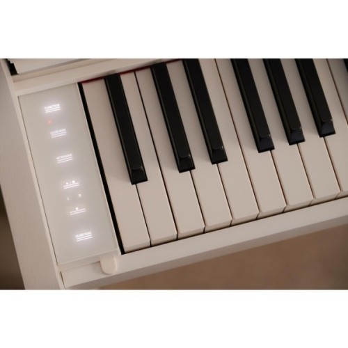 Цифрове піаніно Casio AP-550WE (363168)