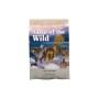 Сухий корм для собак Taste of the Wild Wetlands Canine Formula з качкою та перепілкою 2 кг (0074198612192)