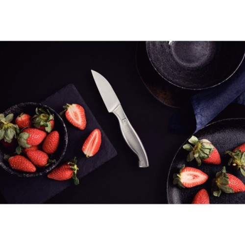 Кухонний ніж Tramontina Sublime для овочів 76 мм (24063/103)