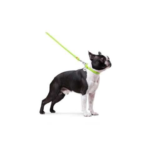 Повідець для собак WAUDOG Glamour круглий XS d 8 мм Д 122 см салатовий (33775)