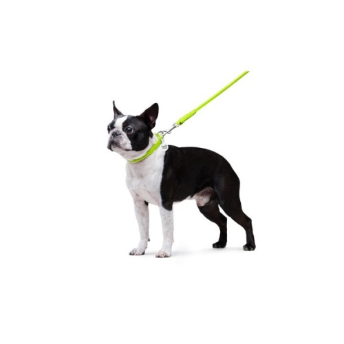 Повідець для собак WAUDOG Glamour круглий XS d 8 мм Д 122 см салатовий (33775)