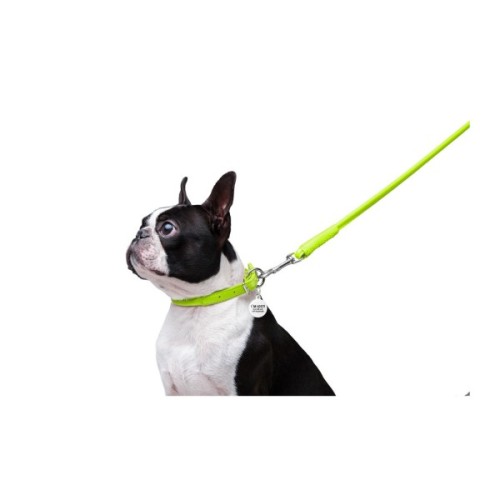 Повідець для собак WAUDOG Glamour круглий XS d 8 мм Д 122 см салатовий (33775)