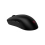 Мишка Zowie U2DW USB/Wireless Black (9H.N4PBE.A2E)