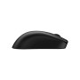 Мишка Zowie U2DW USB/Wireless Black (9H.N4PBE.A2E)
