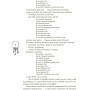 Книга Українські народні казки. Кращі казки Ранок (9786170973658)