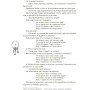 Книга Українські народні казки. Кращі казки Ранок (9786170973658)