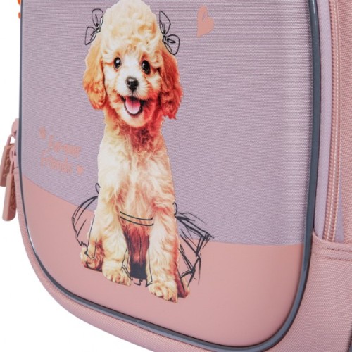 Рюкзак шкільний Yes My Puppy S-109S напівкаркасний (550232)