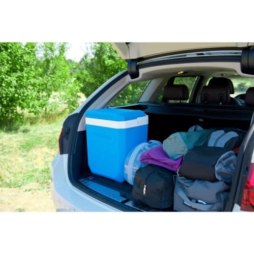 Термобокс Campingaz Icetime Plus 26L (87166)