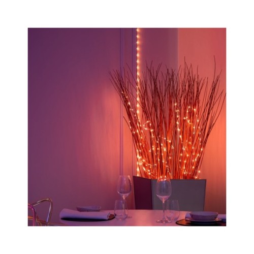 Гірлянда Twinkly Smart LED, Dots 400 RGB LED Lights String Black Wire Plug IP44 20м (TWD400STP-BEU)