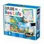 Пазл Headu Досліджуйте морське життя (IT22311)