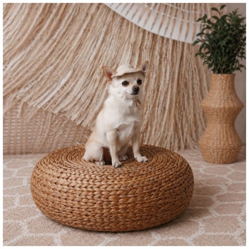 Кепка для тварин Pet Fashion Gold XL (4823082446056)