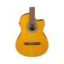 Гітара класична Ibanez GA3ECE-OAM (236052)