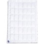 Ковдра MirSon антиалергенна Royal Eco-Soft Hand Made 845 демі 140x205 см (2200000621443)