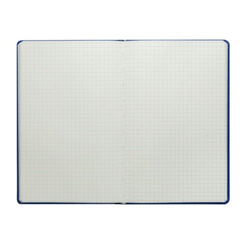 Книга записна Buromax Cherie 96 аркушів А5 у клітинку малиновий (BM.295105-29)