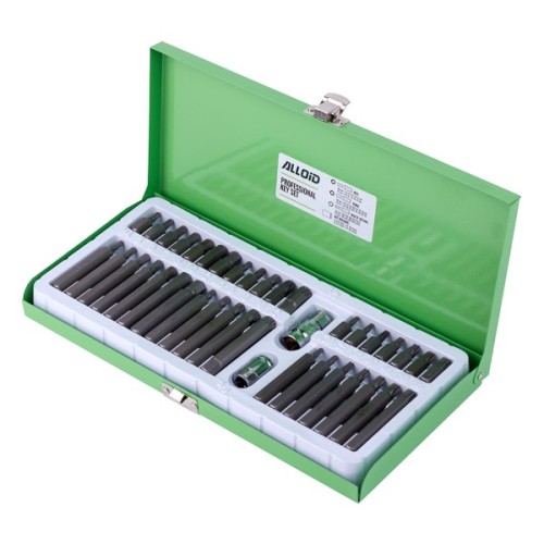 Набір біт Alloid шестигранних, SPLINE, TORX, 40шт. (NB-3840)