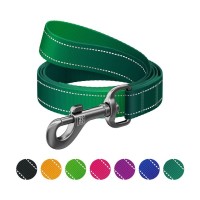 Повідець для собак WAUDOG Nylon Mono, світловідбивний L-XXL зелений (521918)
