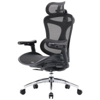 Офісне крісло Sihoo DORO C300L Mesh Black (DORO-C300L-A3-101)