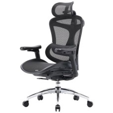 Офісне крісло Sihoo DORO C300L Mesh Black (DORO-C300L-A3-101)