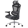 Офісне крісло Sihoo DORO C300L Mesh Black (DORO-C300L-A3-101)