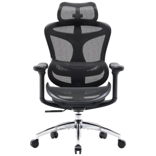 Офісне крісло Sihoo DORO C300L Mesh Black (DORO-C300L-A3-101)